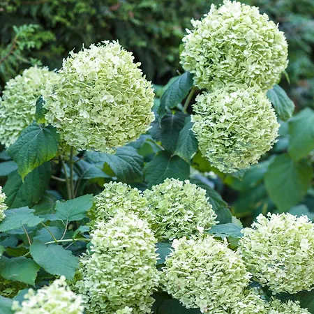 Z Tarasem Stegna (Pomerania)